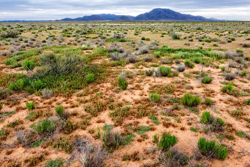 West-northwest of Apache Mountain