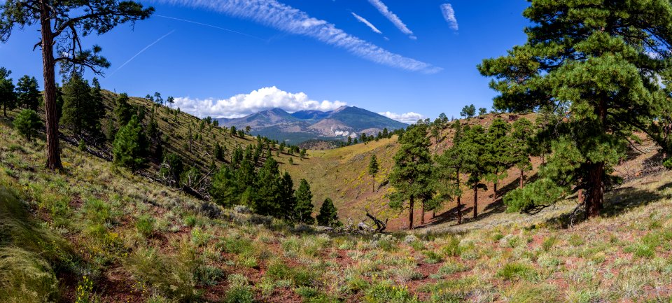 San Francisco Peaks