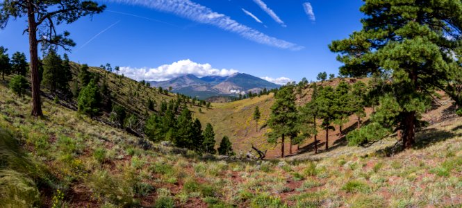 San Francisco Peaks photo