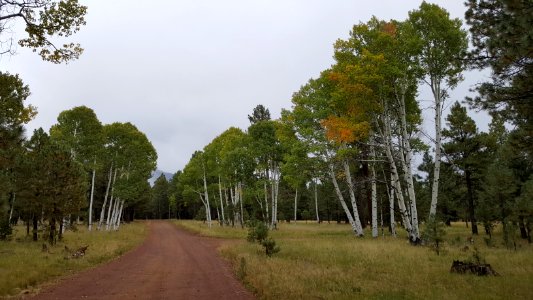 FR 794 (September 27, 2017)