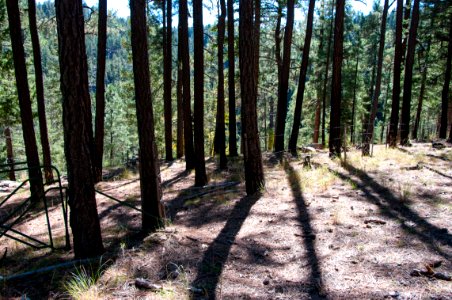 U-Bar Trail No. 28