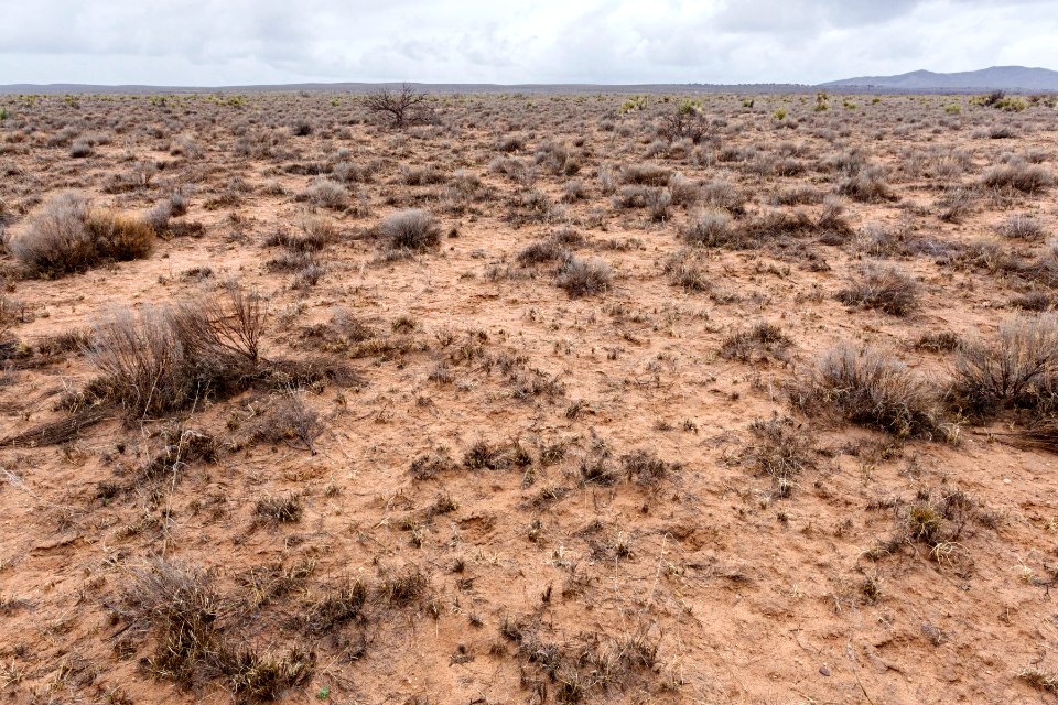 Jornada del Muerto Plain