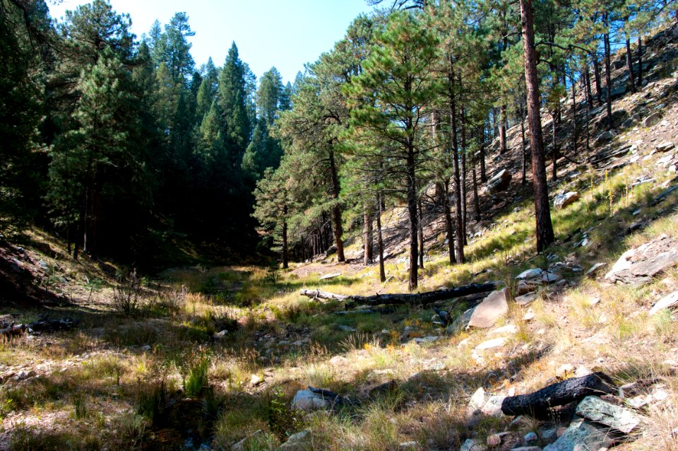 Fred Haught Trail #141