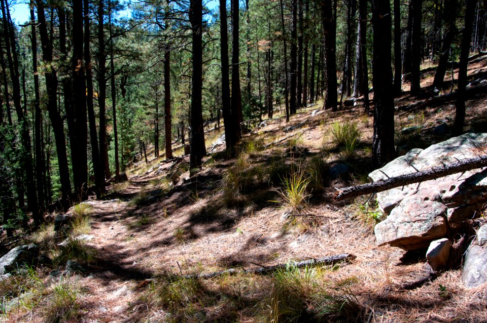 U-Bar Trail No. 28