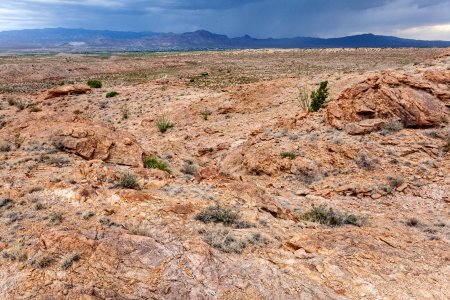Near Arroyo del Tajo