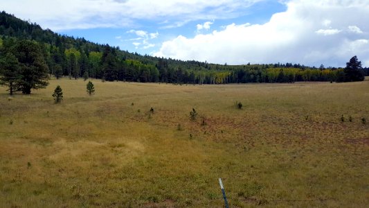 Hart Prairie Road  (September 27, 2017)