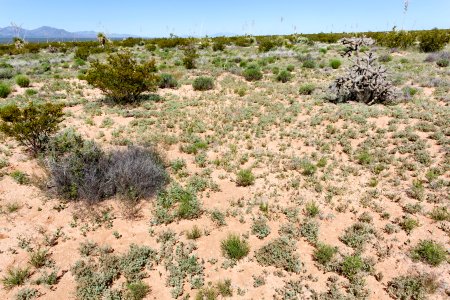 Southwest of Granite Gap