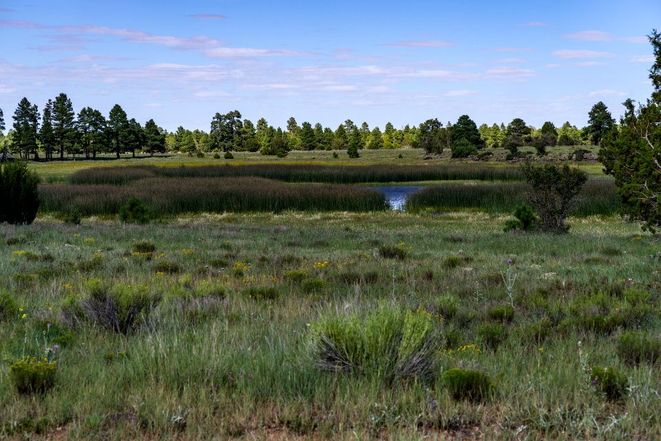 Arizona Trail: Anderson Mesa AZT-30