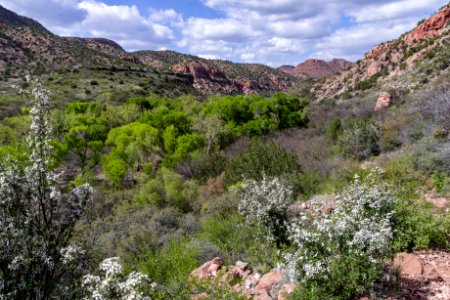 Parsons Trail No. 144