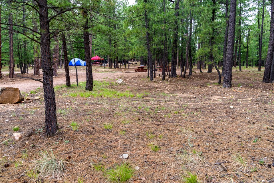 Knoll Lake Campground