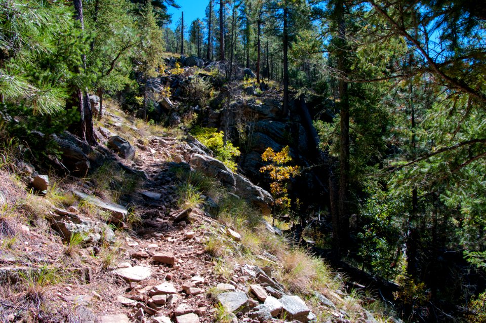 U-Bar Trail No. 28