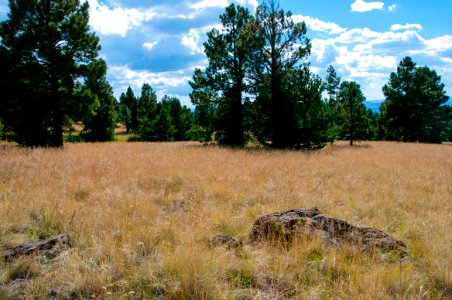 Aspen Loop / Arizona Trail