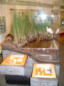 Kettle Pond Visitor Center