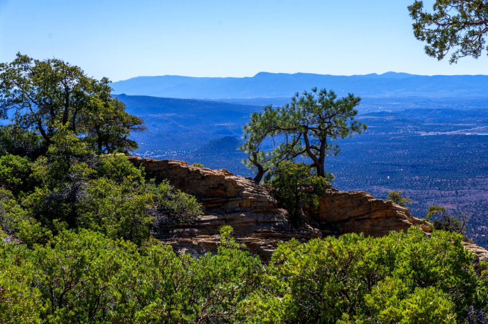 Bear Mountain Trail No. 54
