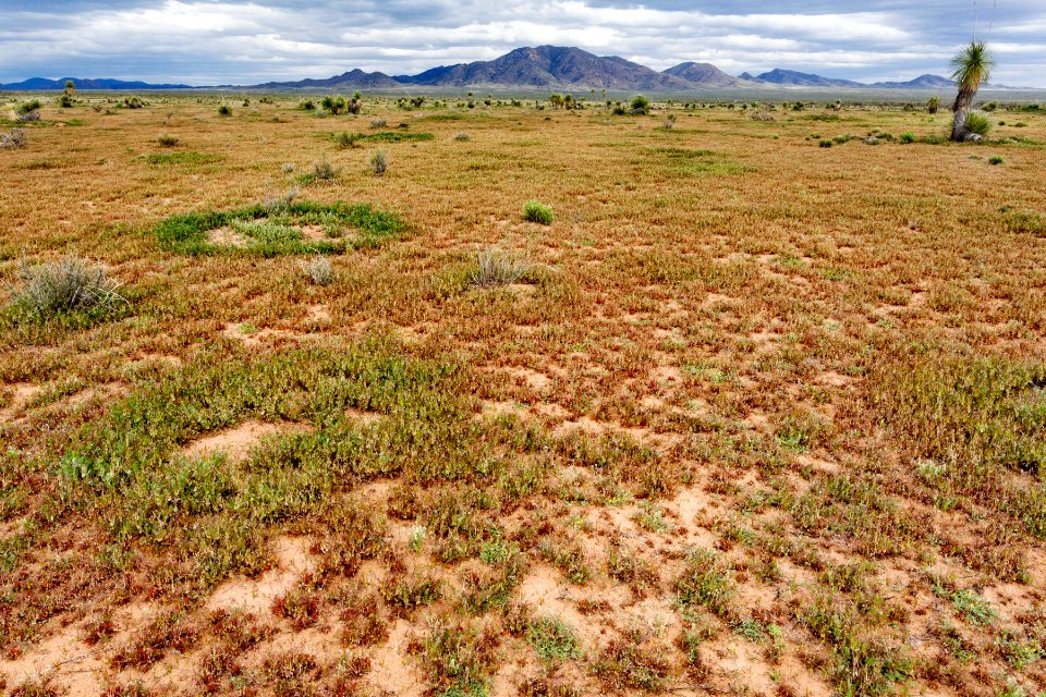 West of Apache Mountain