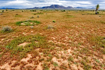 West of Apache Mountain