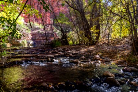 Fall color on Parsons Trail (November 8, 2017)