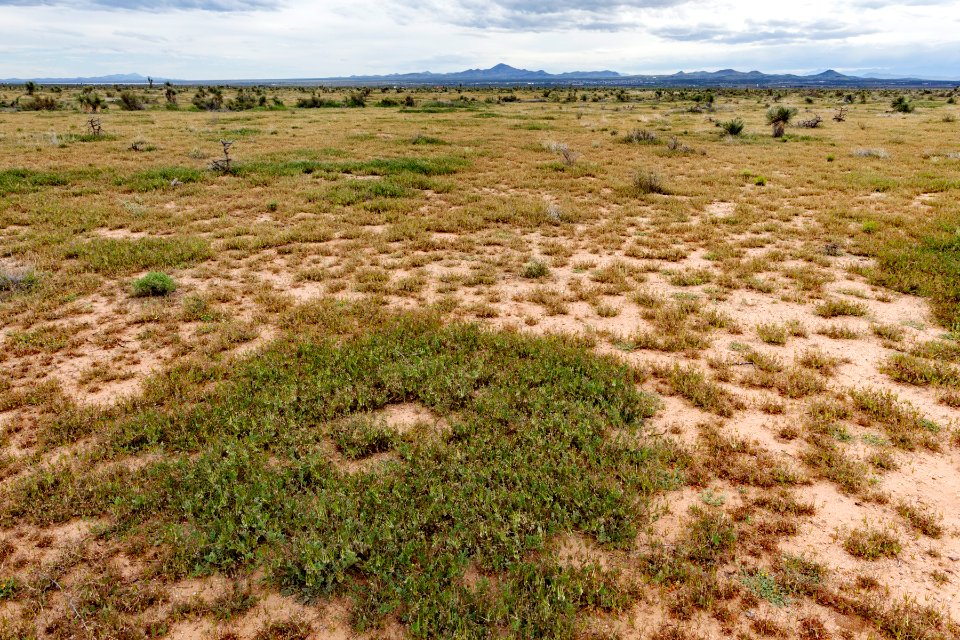 West of Apache Mountain
