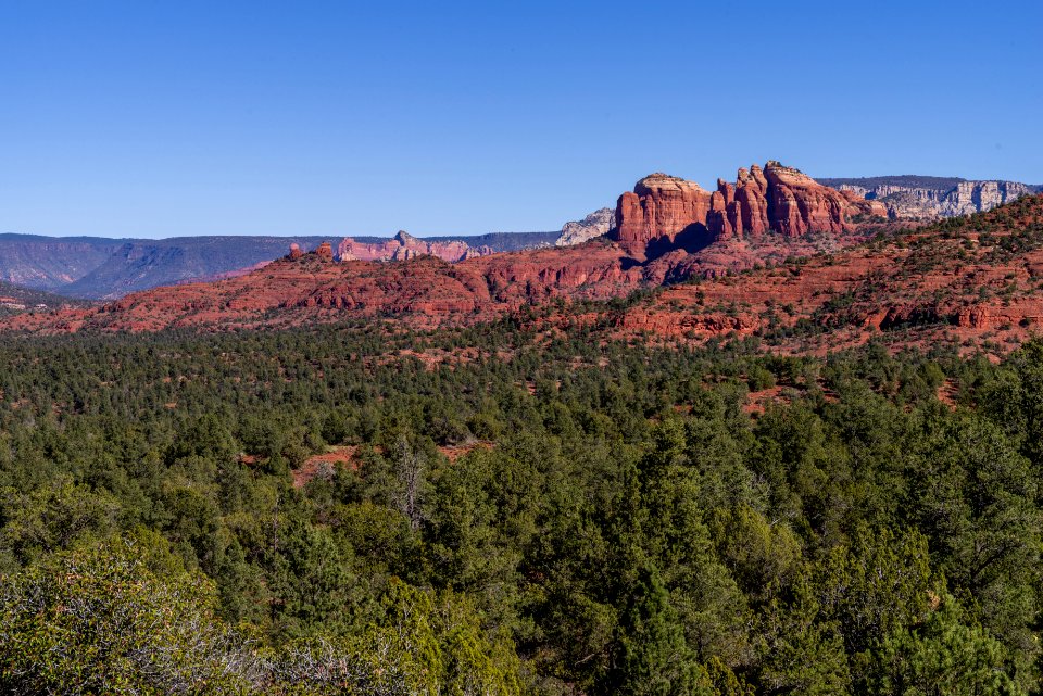 Turkey Creek Trail