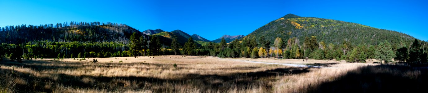 Lockett Meadow photo