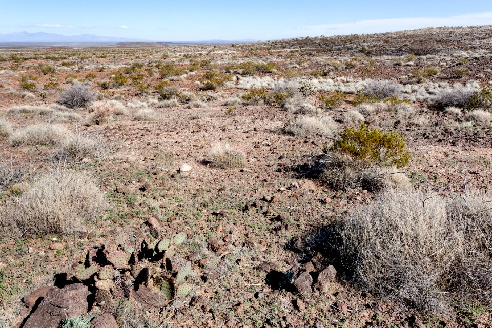 West-southwest of Aden Crater