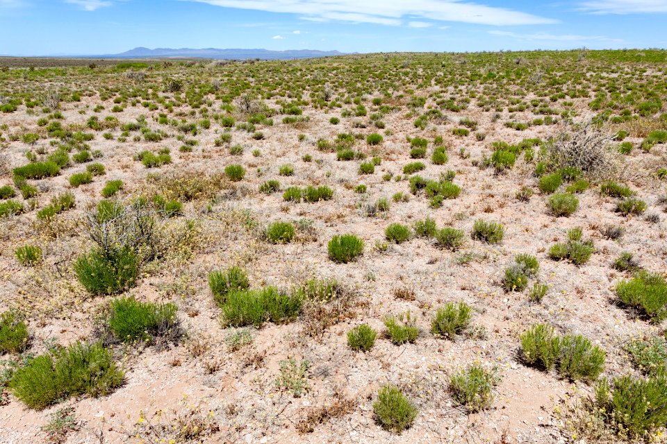 Playas Valley