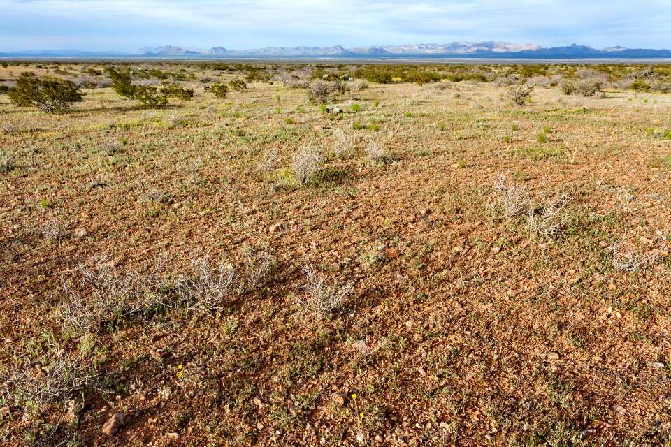 North of Onion Springs Peak