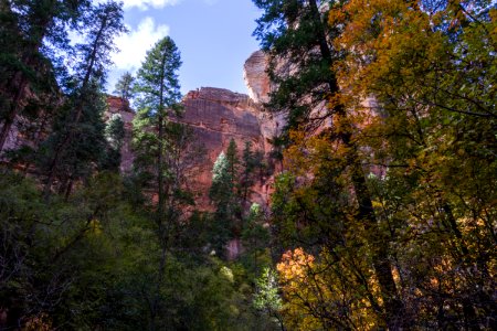 West Fork of Oak Creek Canyon No. 108