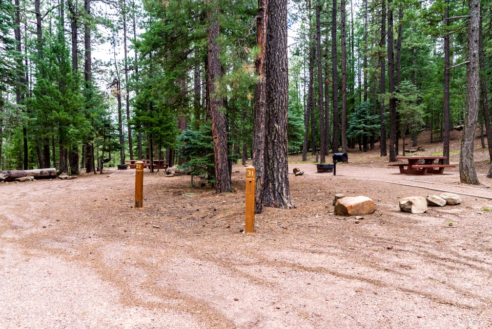 Knoll Lake Campground