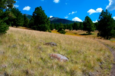 Arizona Trail Passage 34