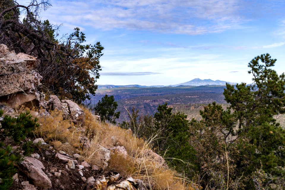 Munds Mountain Trail