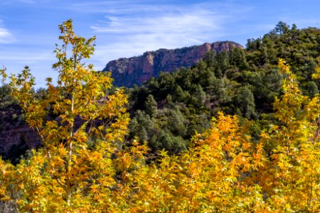 Fossil Springs Trail (November 13, 2017)