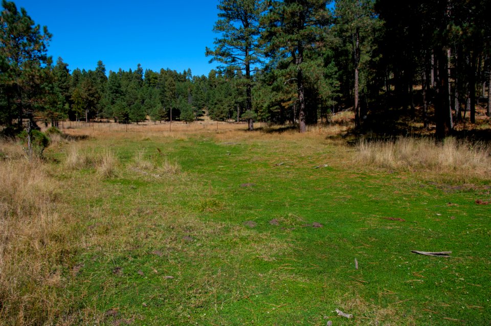 U-Bar Trail No. 28