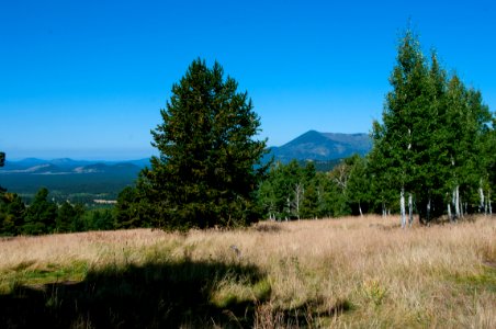 Aspen Loop Trail No. 73