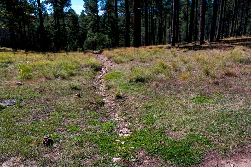 Fred Haught Trail #141