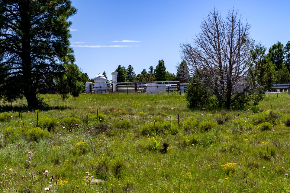 Arizona Trail: Anderson Mesa AZT-30