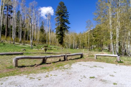 Lockett Meadow