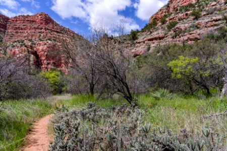 Parsons Trail No. 144