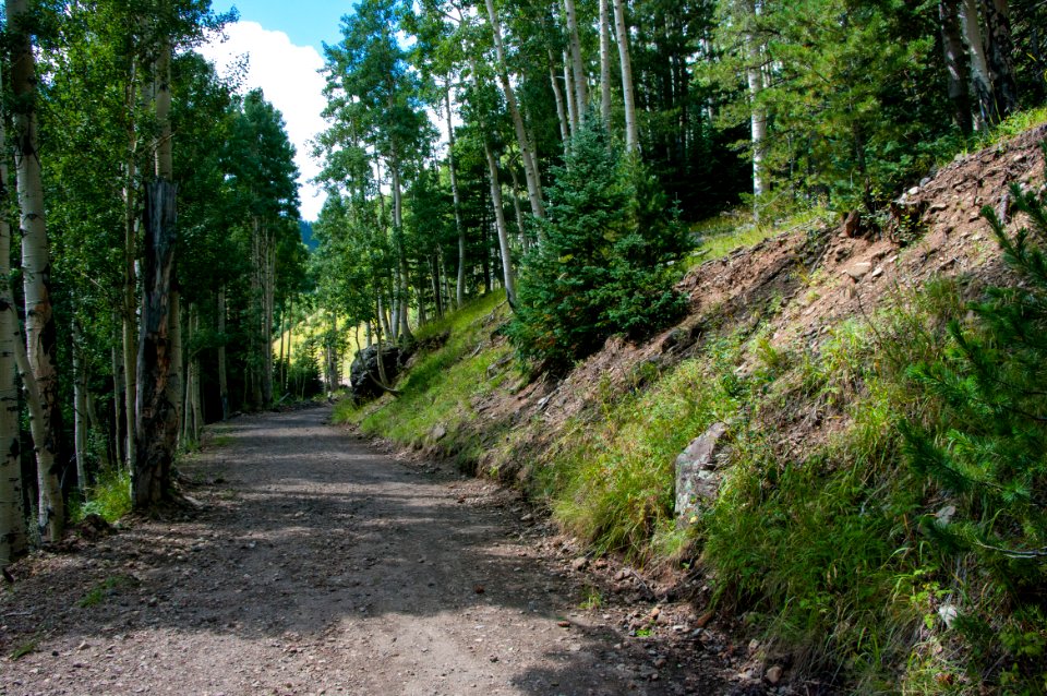 Inner Basin Trail