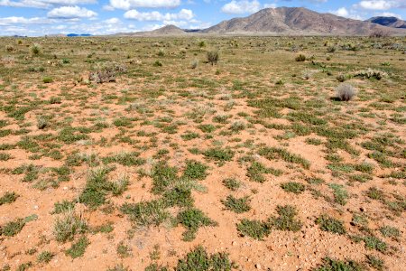 West of Apache Mountain