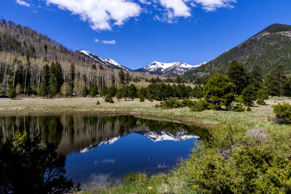 Lockett Meadow