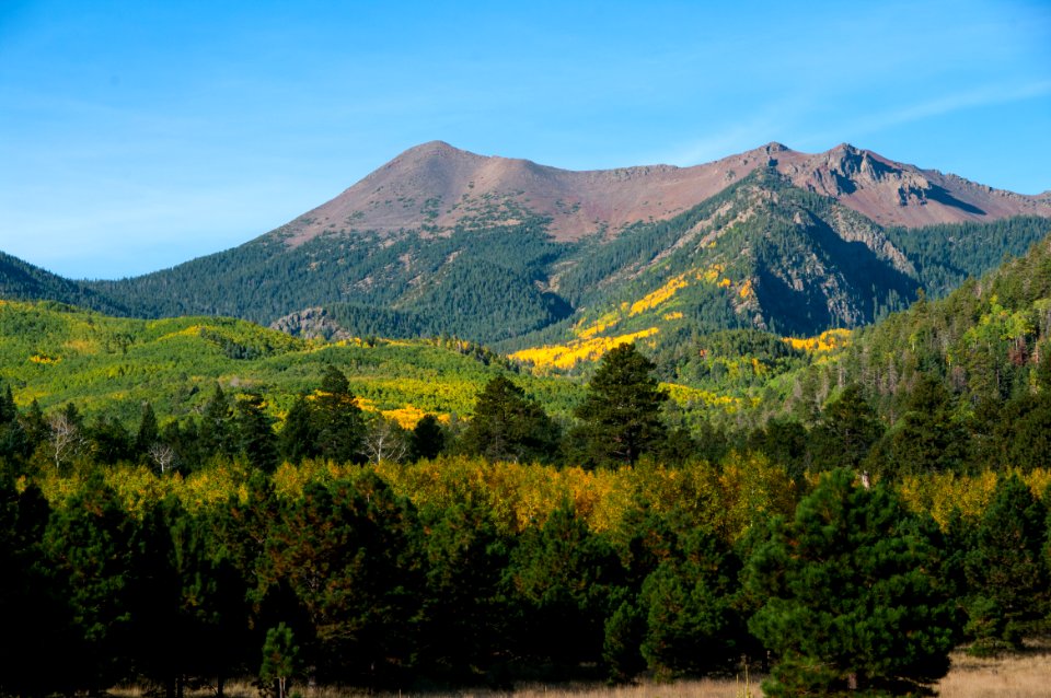 Lockett Meadow