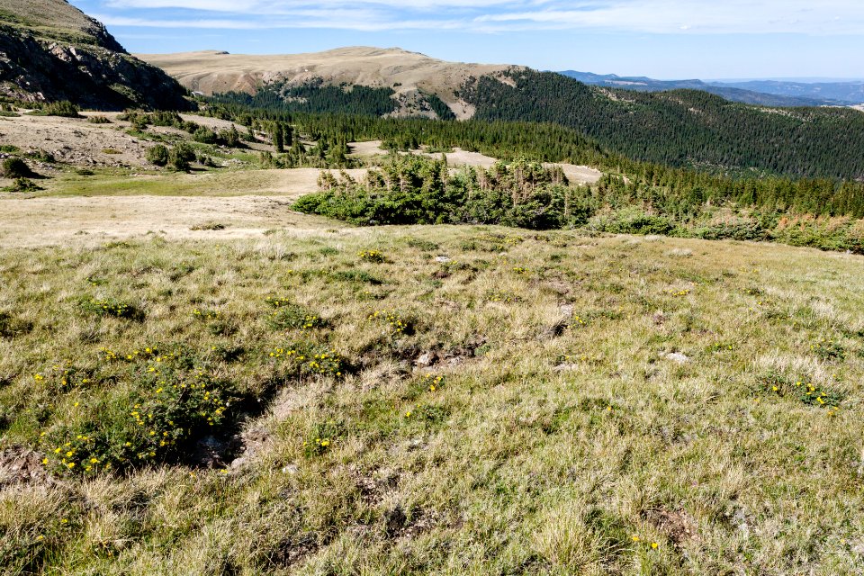 South-southeast side of Big Costilla Peak