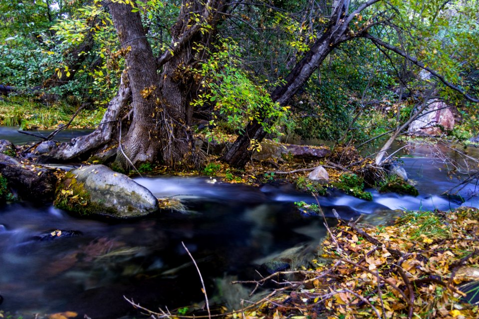 Autumn at Fossil Springs