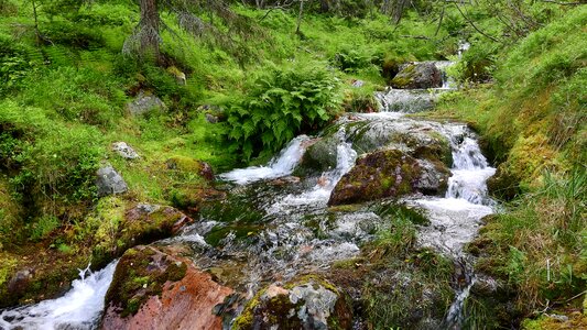 Mountain creek bed flowing