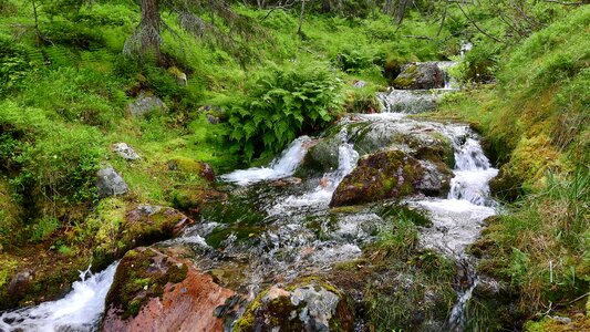 Mountain creek bed flowing photo