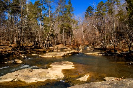 New Hope Creek photo