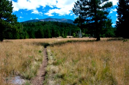 Bismarck Lake Trail photo