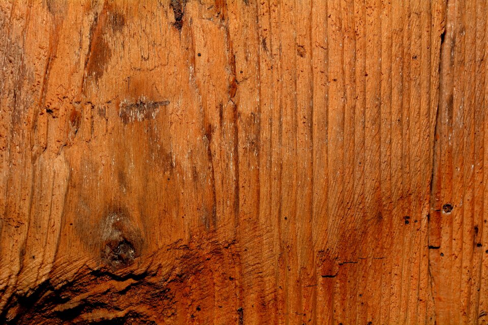 Natural product texture close up
