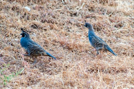 AVU-2017-031-123